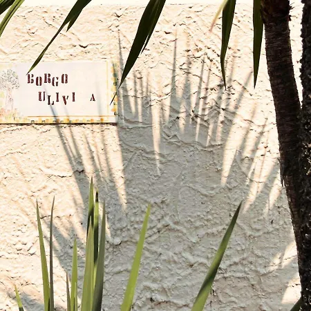 La Luna E Il Falo Ceriale