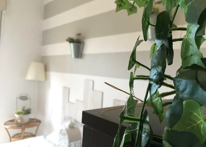 La Luna E Il Falo 펜션