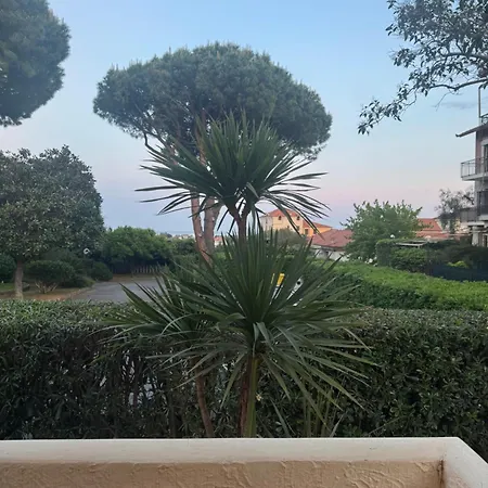 La Luna E Il Falo Ceriale