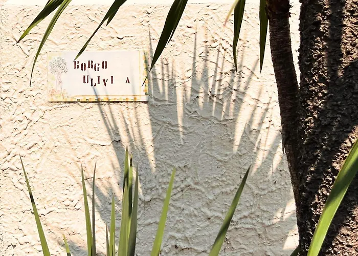 La Luna E Il Falo Ceriale