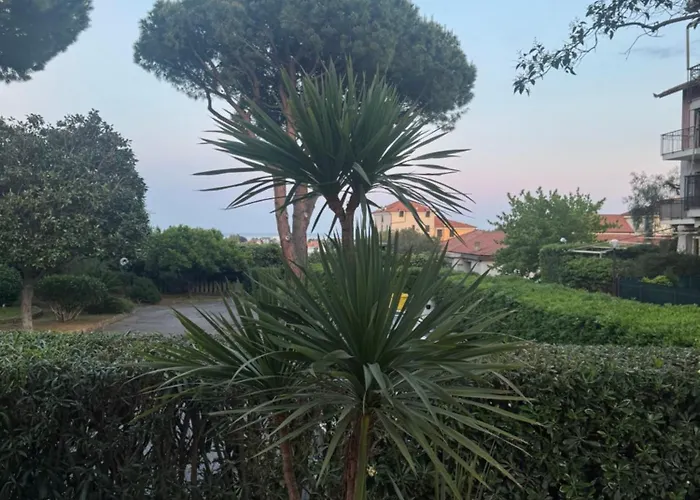 La Luna E Il Faló Ceriale